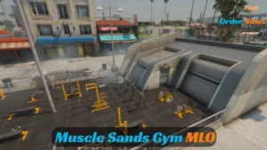 fivem fitness map